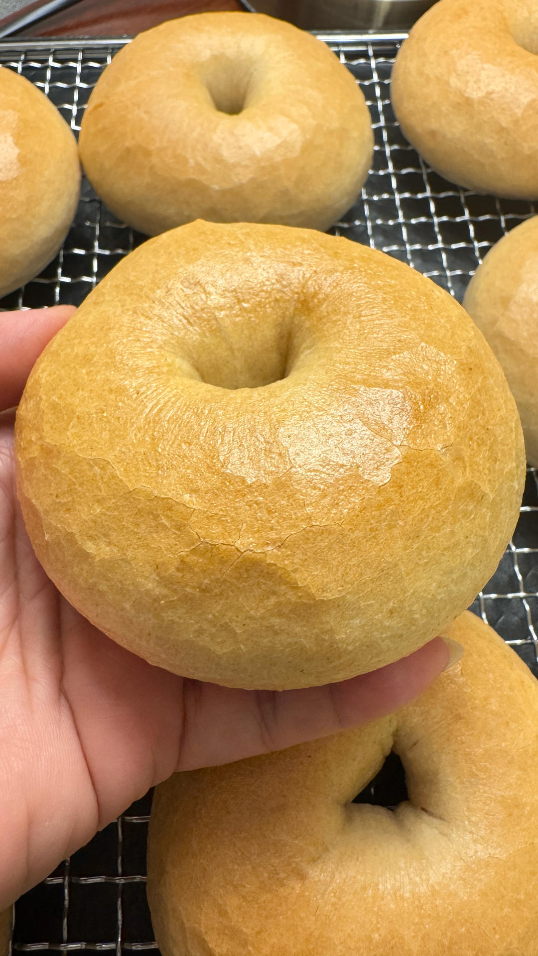 无油无糖，好吃又健康的全麦贝果