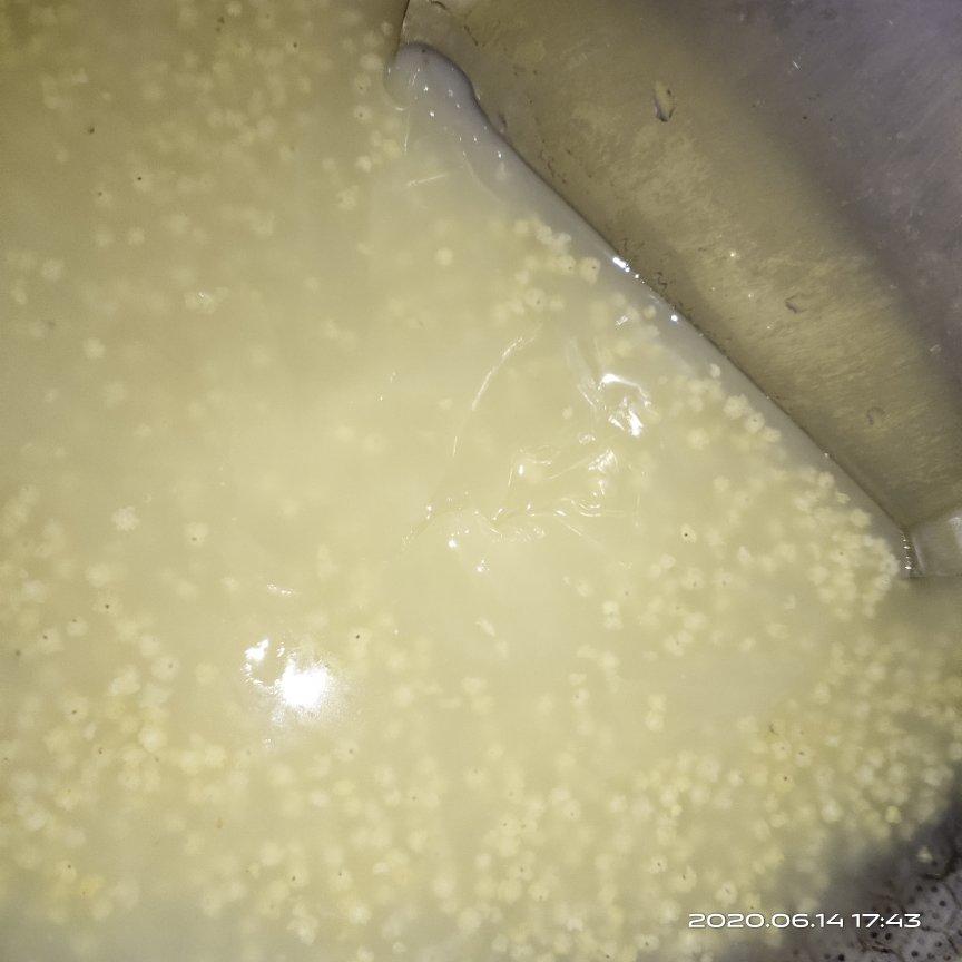 终于熬出一锅有厚厚米油的小米粥