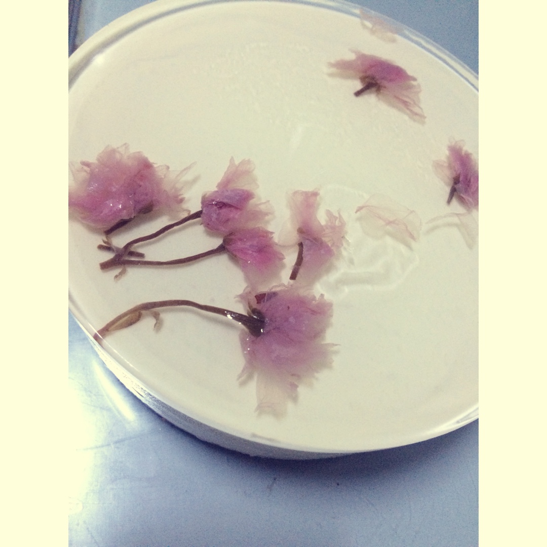 樱花渐变慕斯蛋糕（6寸）