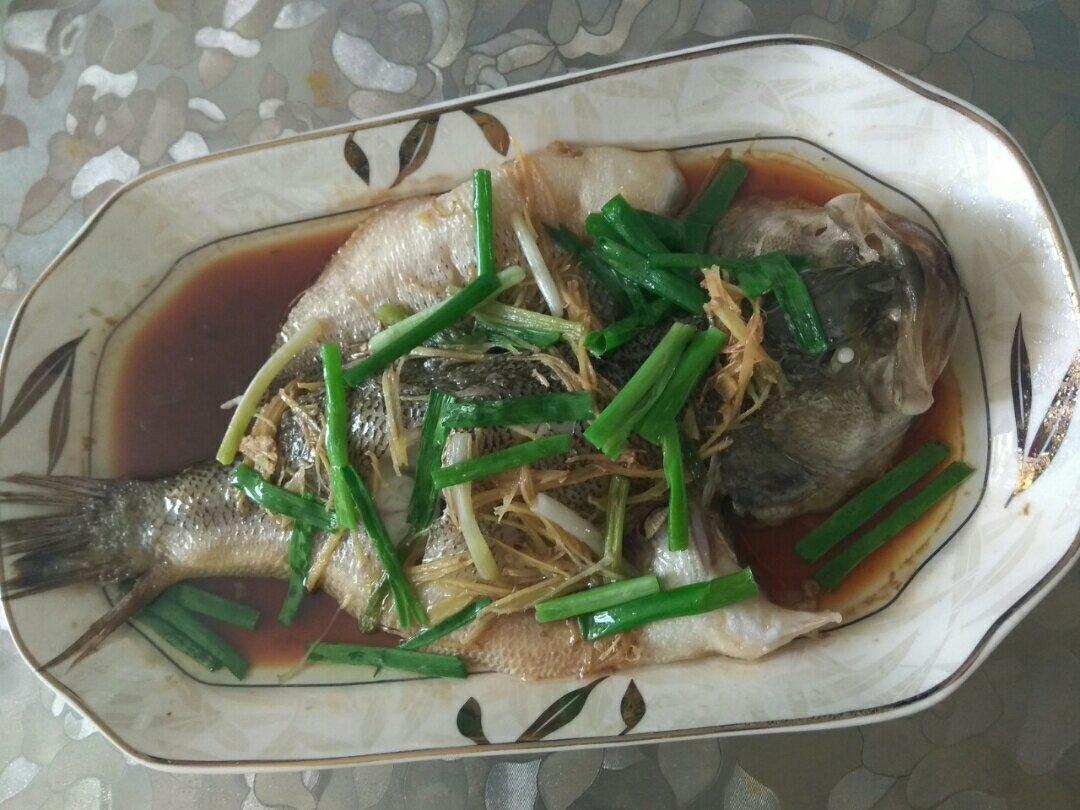 新手零失败的清蒸鲈鱼