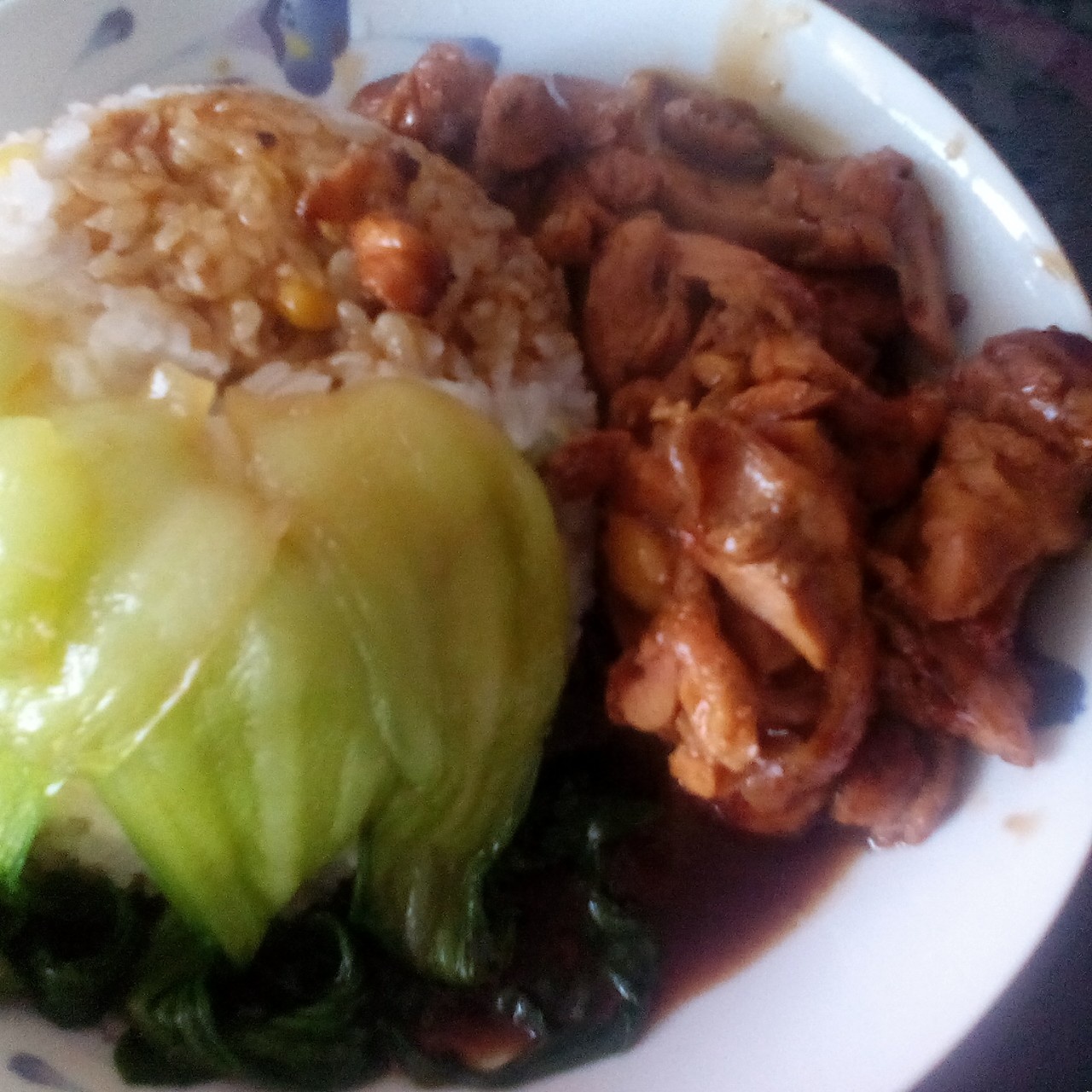 日式照烧鸡腿