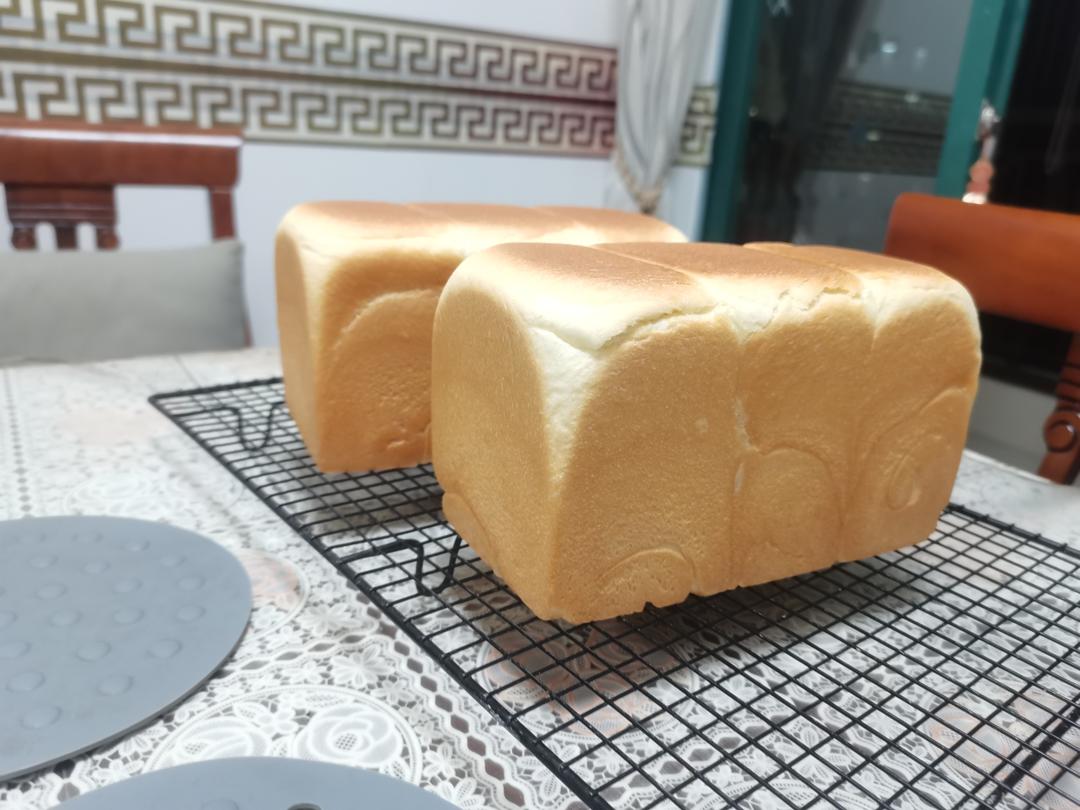 波兰种一次发酵豆浆奶香手撕包