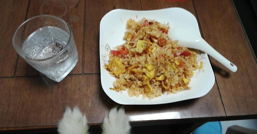 番茄鸡蛋饭