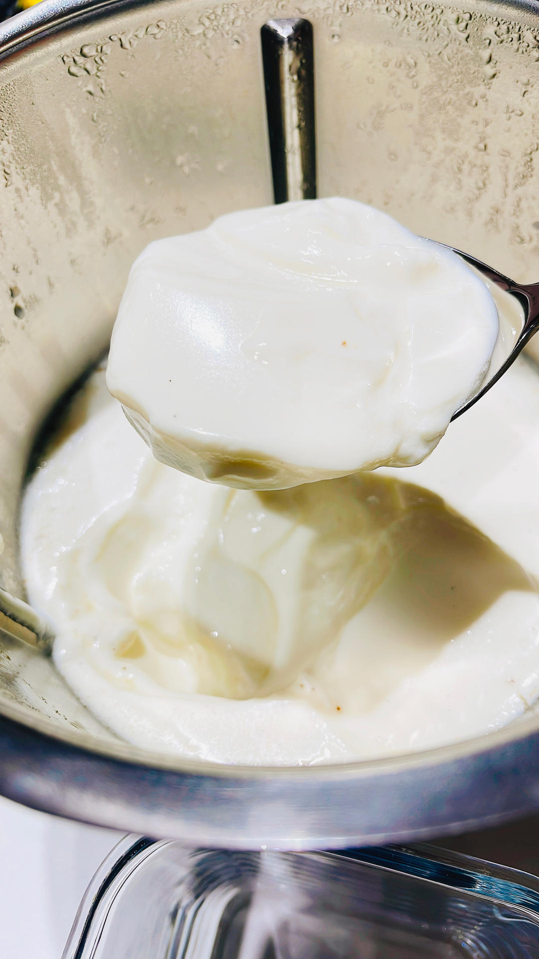 原味酸奶（美善品TM6)