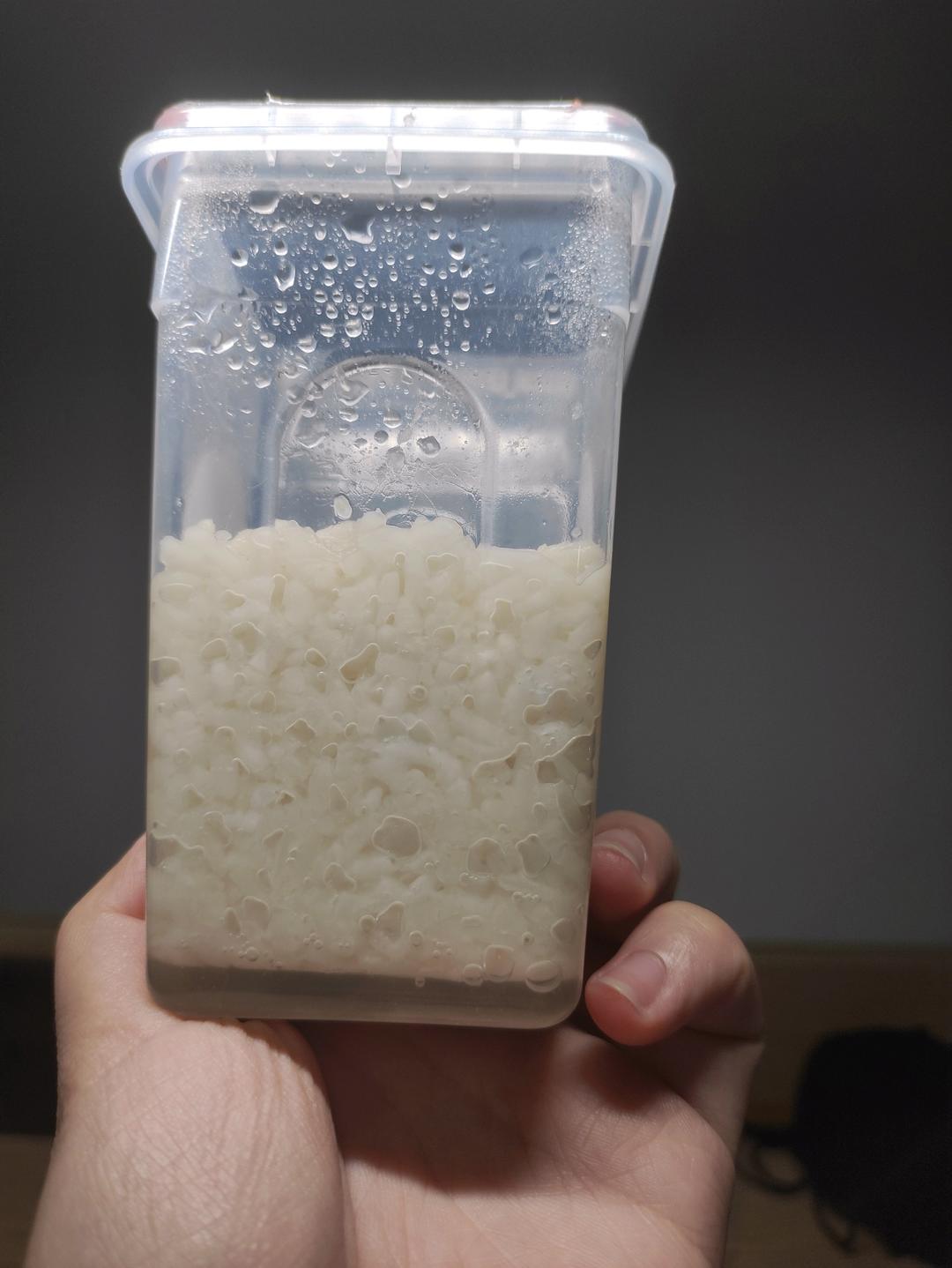 6分钟自制米酒【省事米酒最简易的打开方式】ヽ(•̀ω•́ )ゝ自制酒糟.醪糟.酒酿