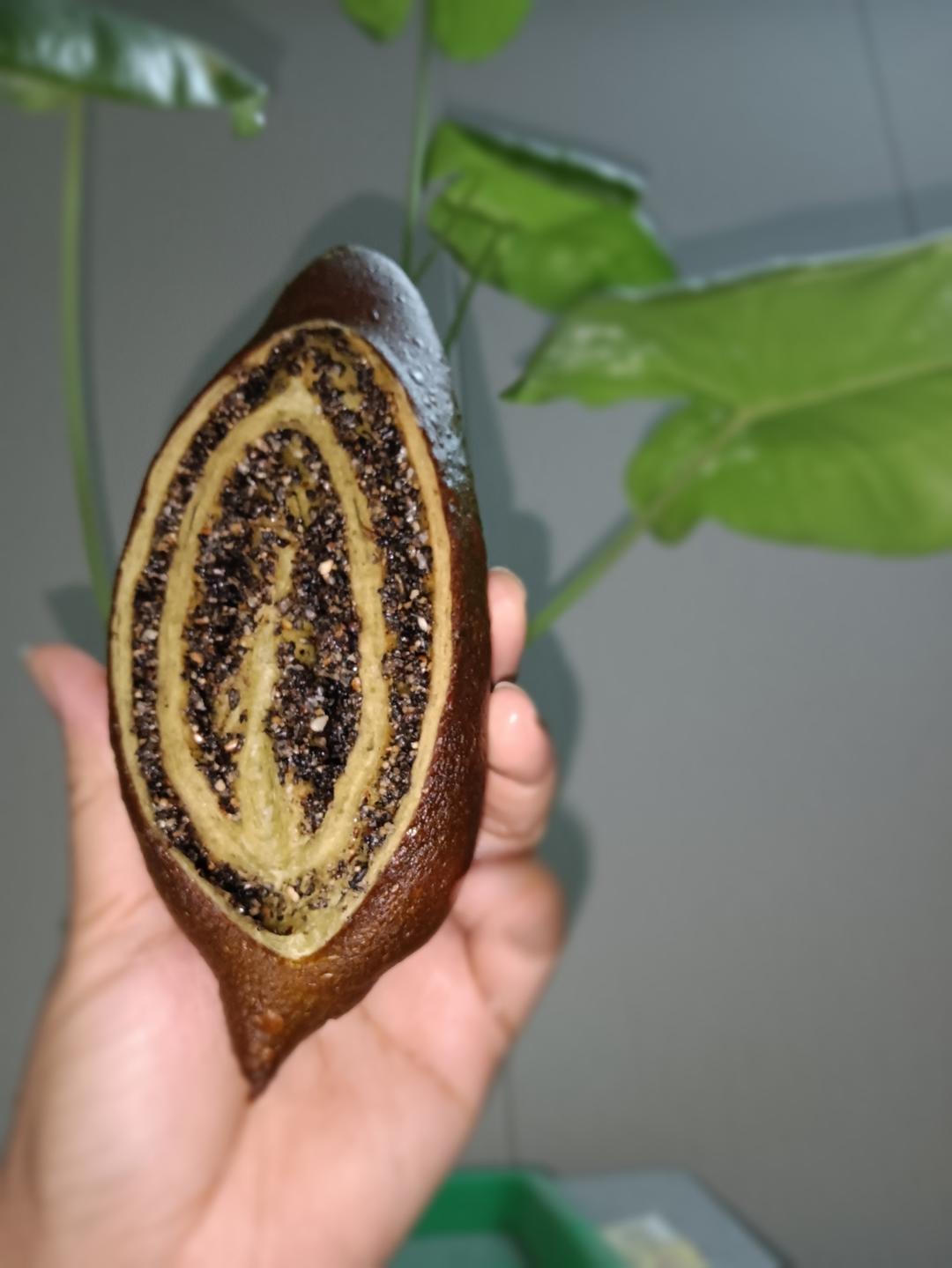 碱水系列又更新啦！香浓的黑芝麻碱水棒