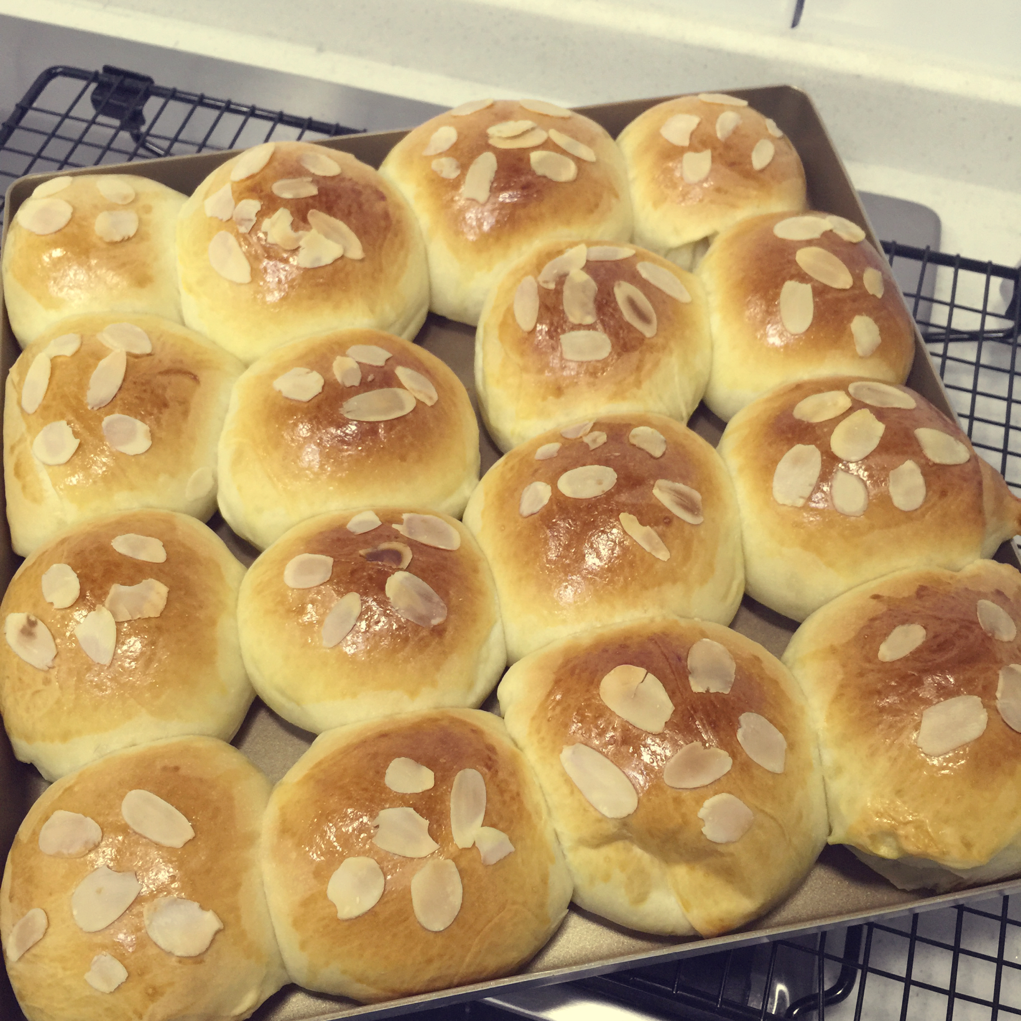 鲜奶油小餐包（一次发酵）