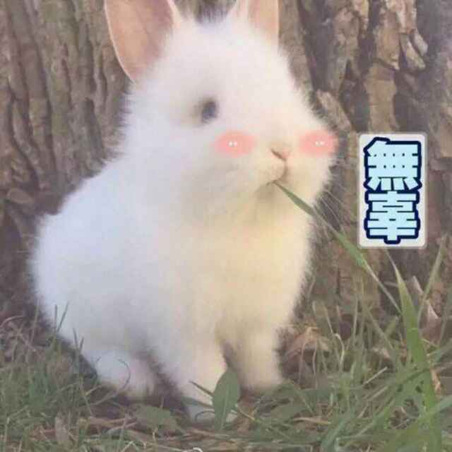 多吃不胖本人