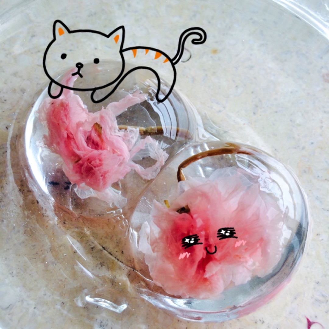 日本最温柔的梦幻和菓子 — 水信玄饼