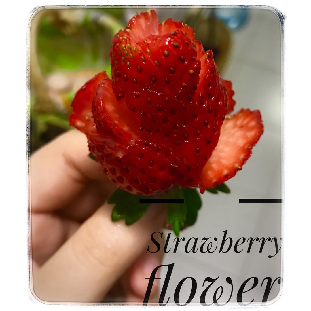 花式吃草莓🍓