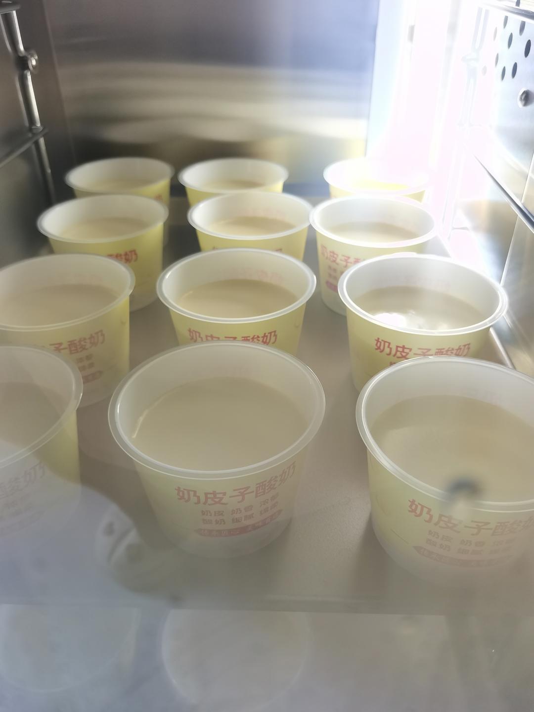 自制希腊酸奶/无糖酸奶/面包机版