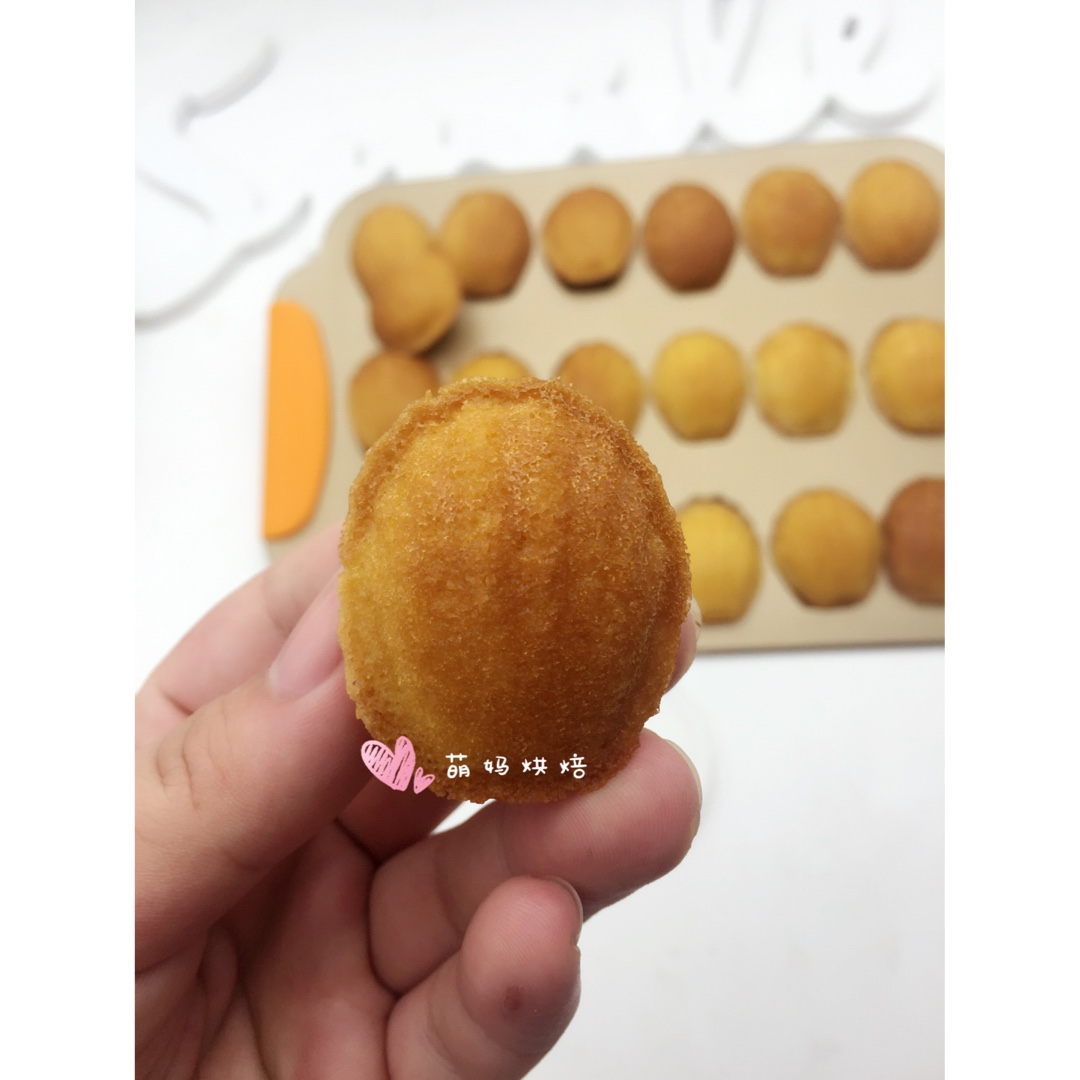 玛德琳（蓝带方）