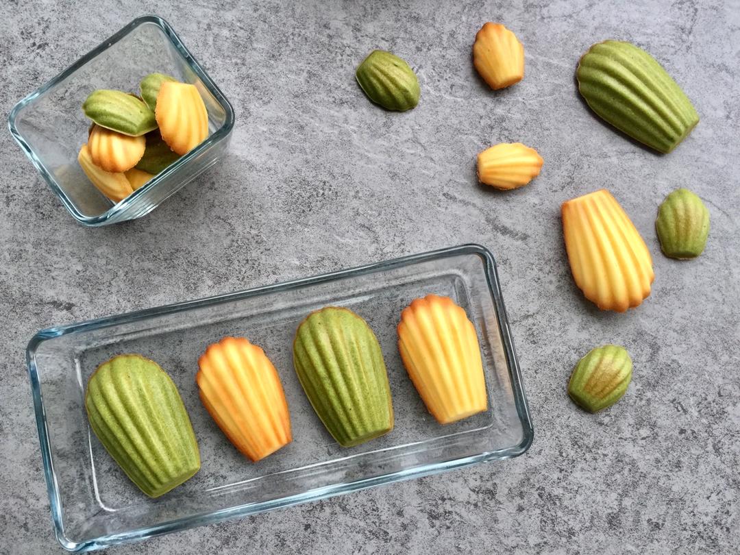 三种颜色玛德琳—抹茶 可可 原味贝壳蛋糕