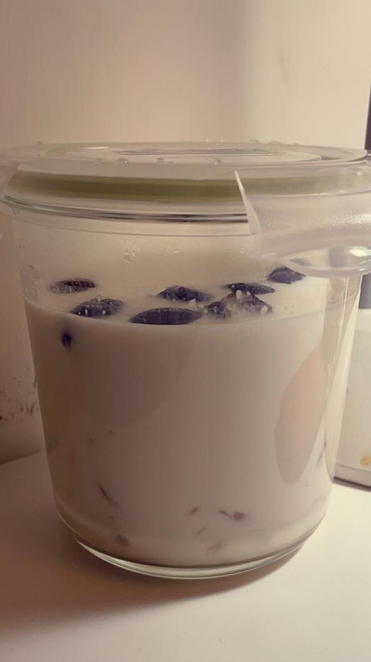 鱼胶鲜奶冻