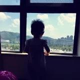 大萱小桐