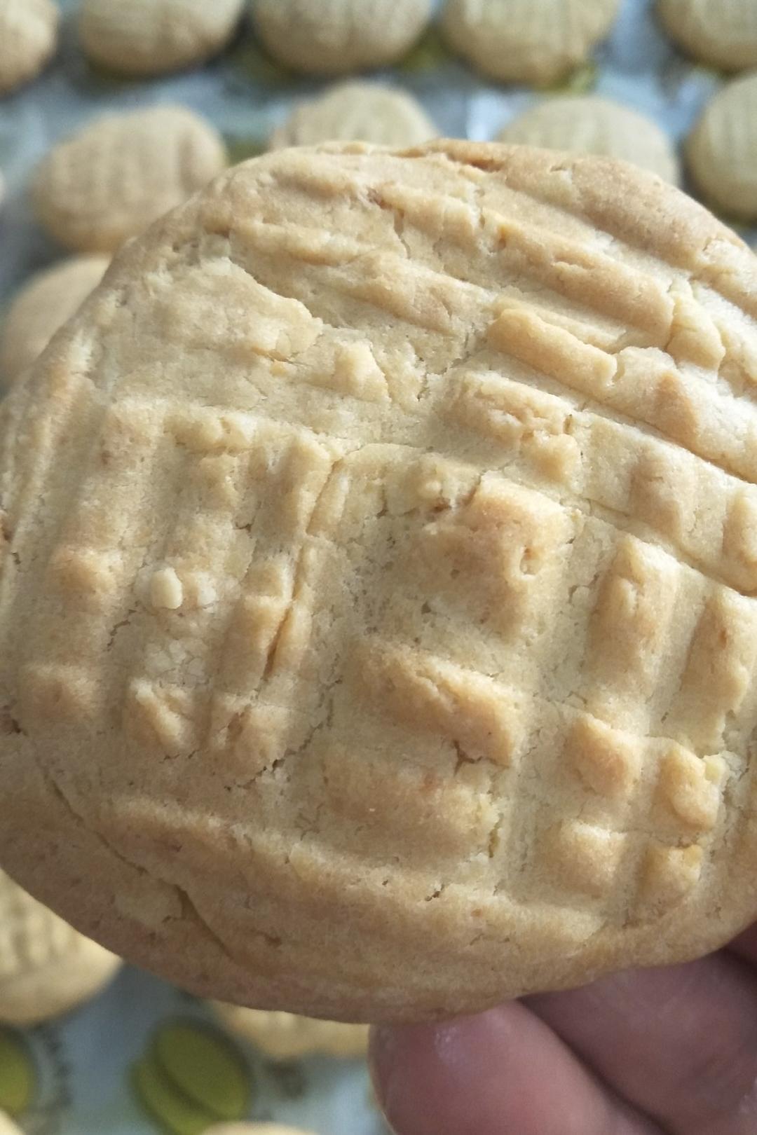 牛奶饼干