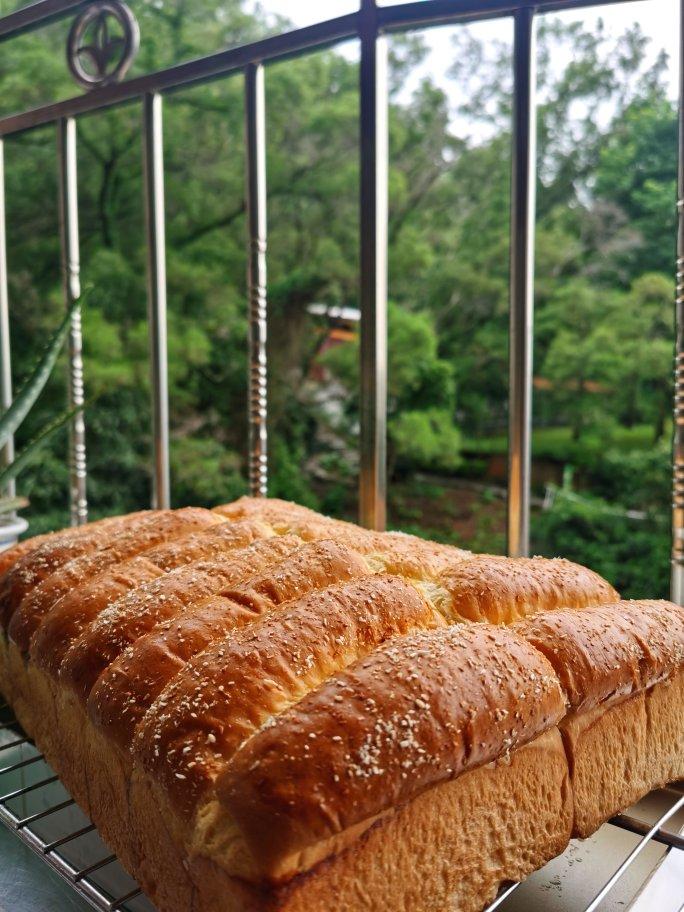 一次发酵-松软拉丝椰蓉排包-椰蓉金砖-椰蓉面包