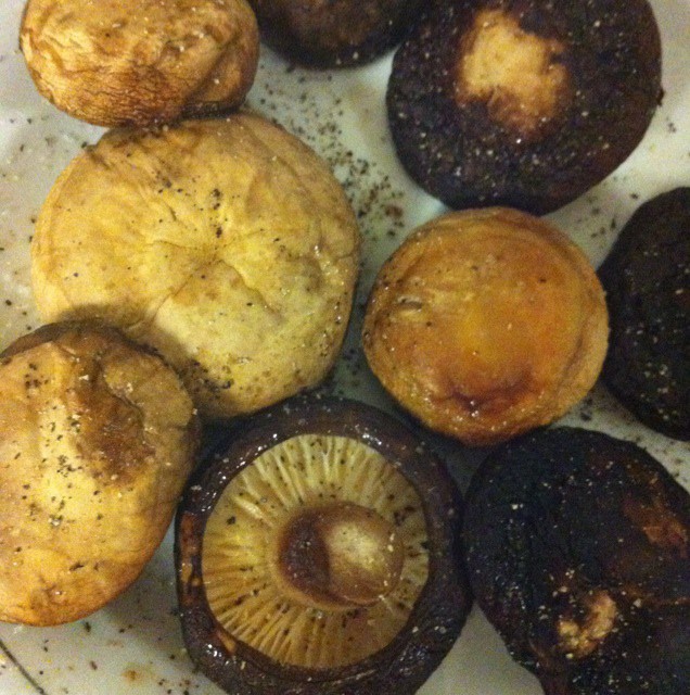 vvdvvd做的黄油蘑菇