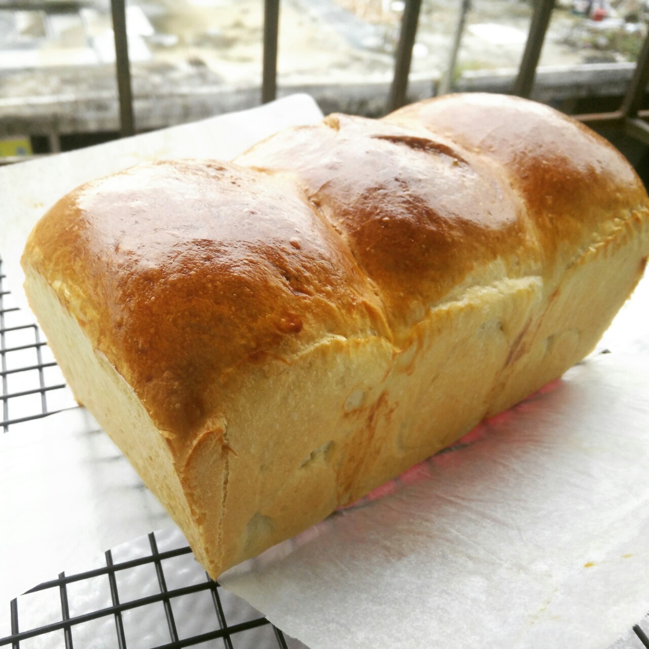 基础面包制作 Basic Bread (Loaf&Roll)