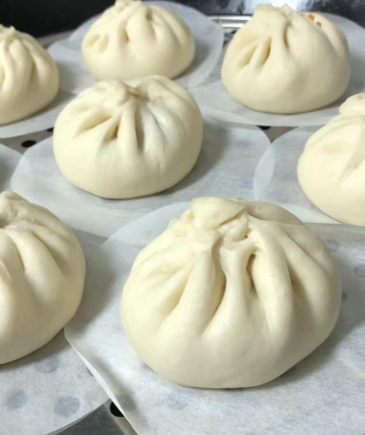 人生的第一包-鲜肉包子（街边味道）零失败，新手可做