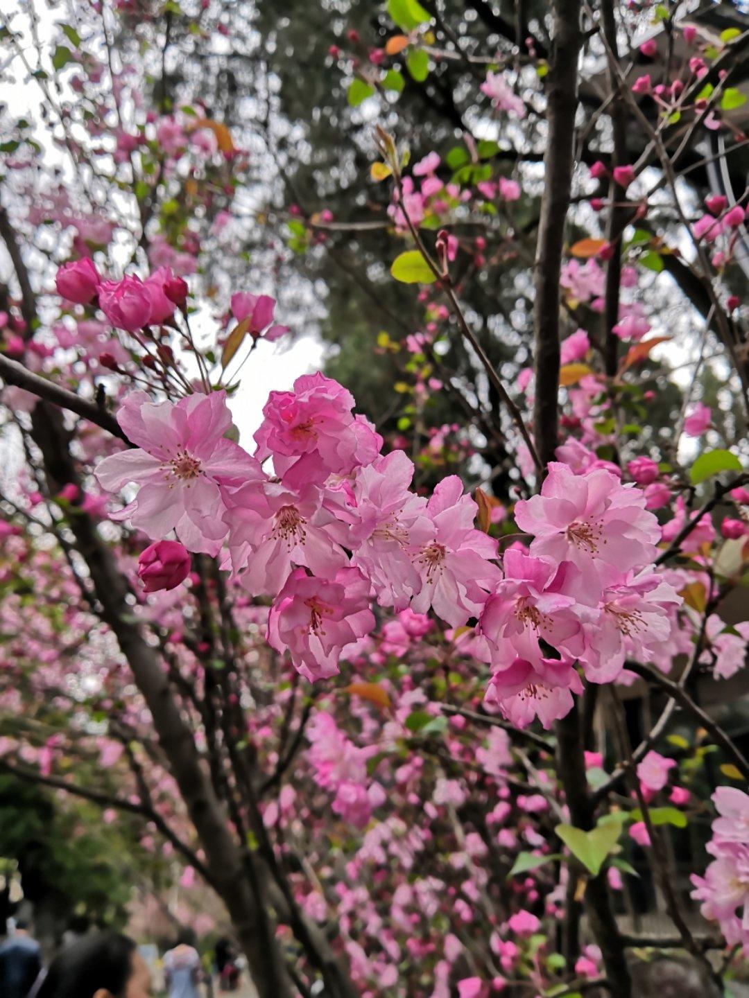 午餐•2019年3月8日