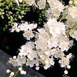 缘分-97