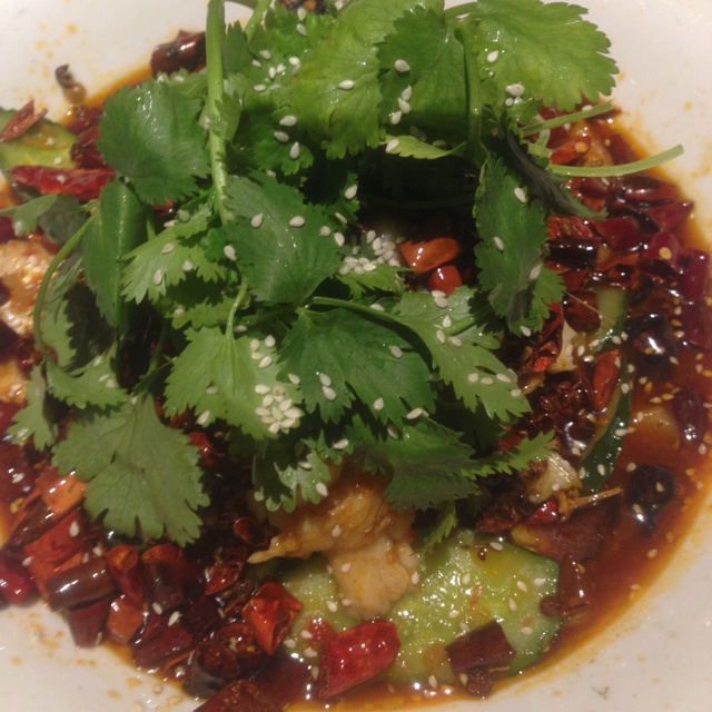 大沃沃的外食记