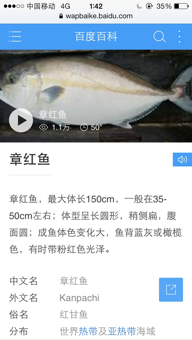 渔家鲜鱼（章红鱼）饭的做法 步骤1