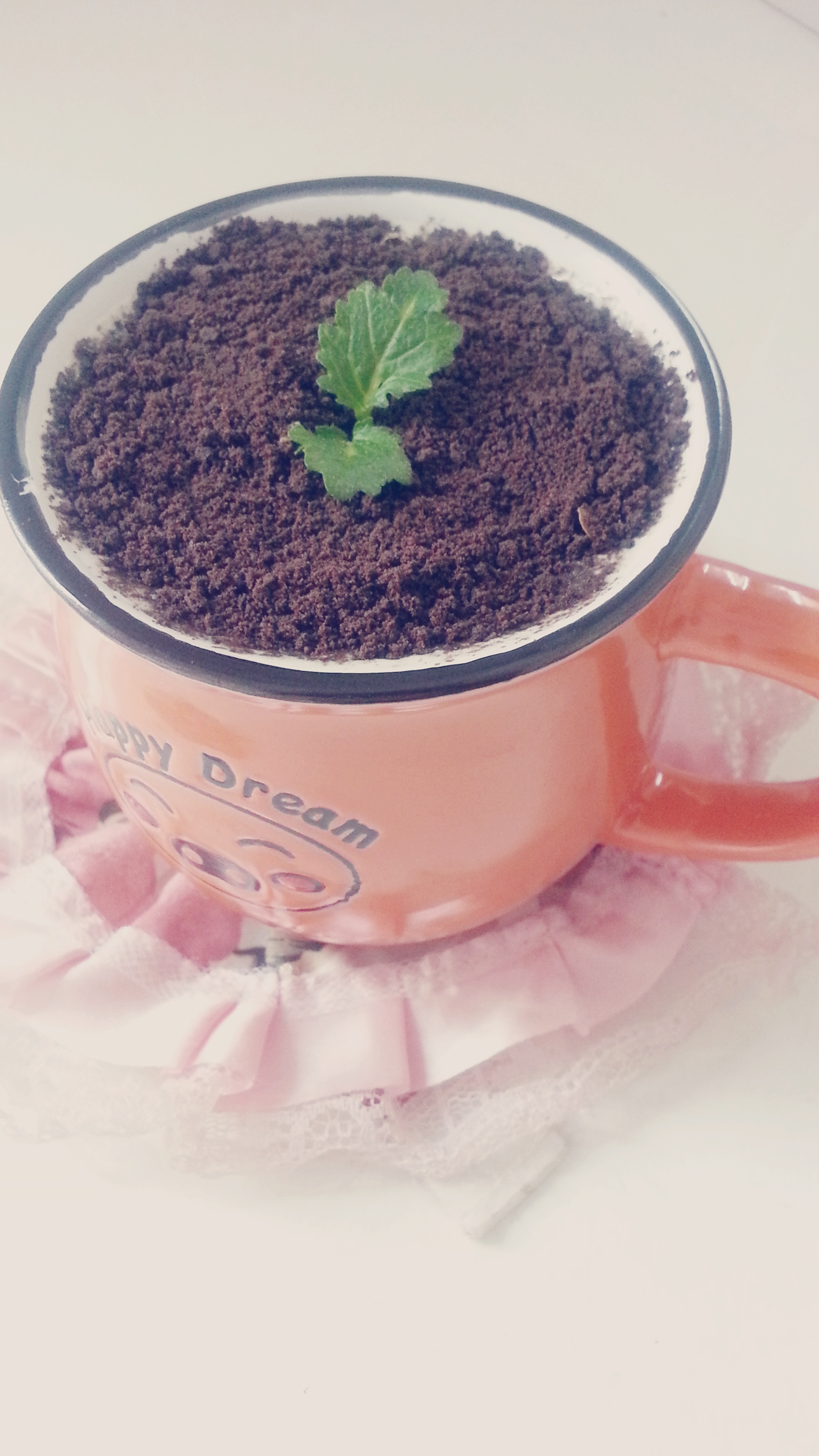 盆栽奶茶