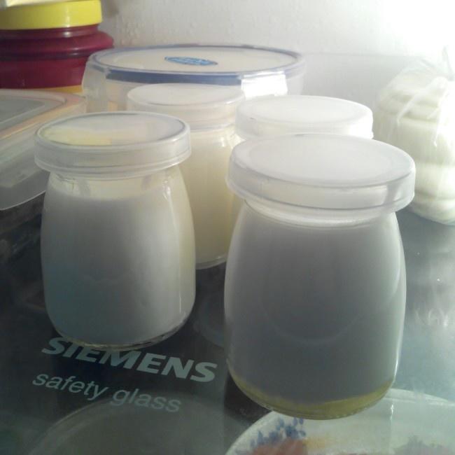 烤箱酸奶（长帝+川秀）