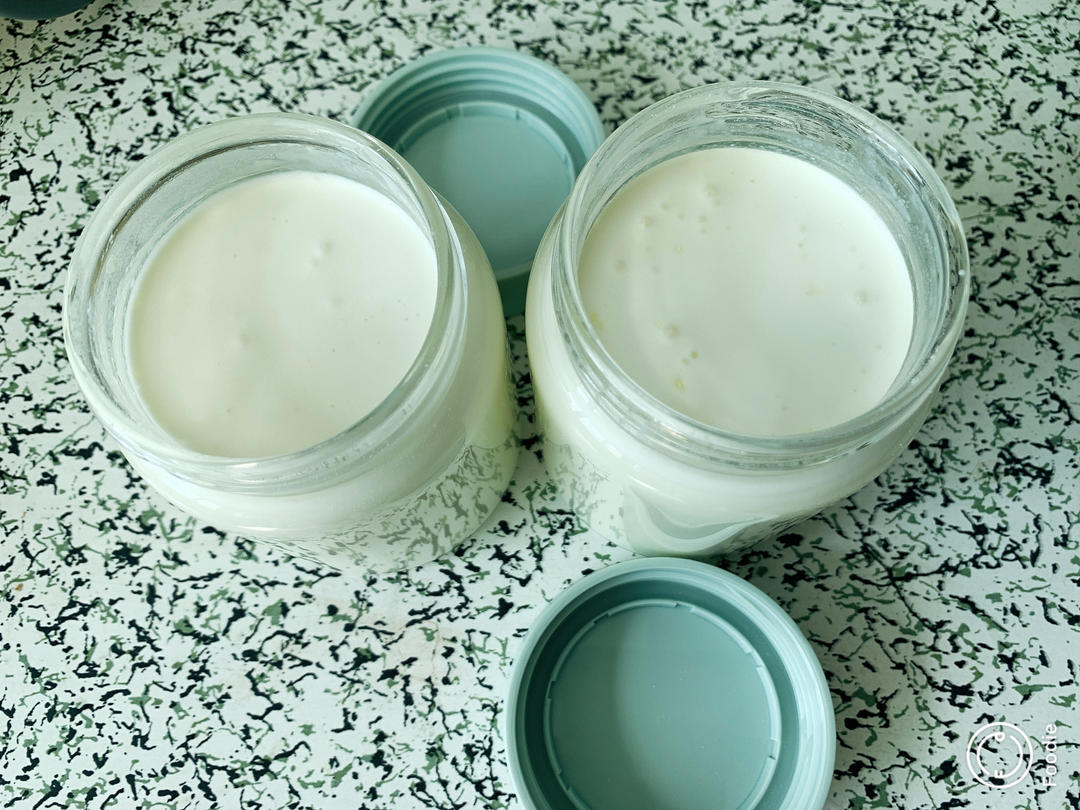 奇异果酸奶【7月北鼎蒸炖锅食谱】