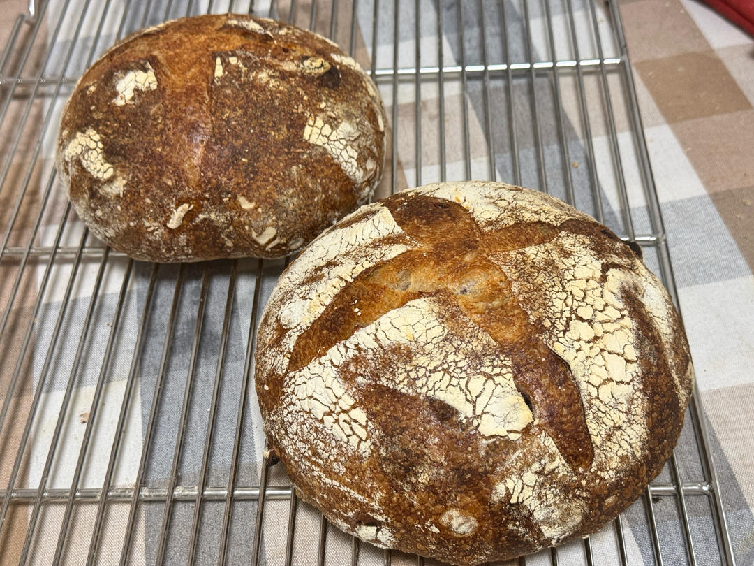 50%全麦欧包丨鲁邦种·无油无糖