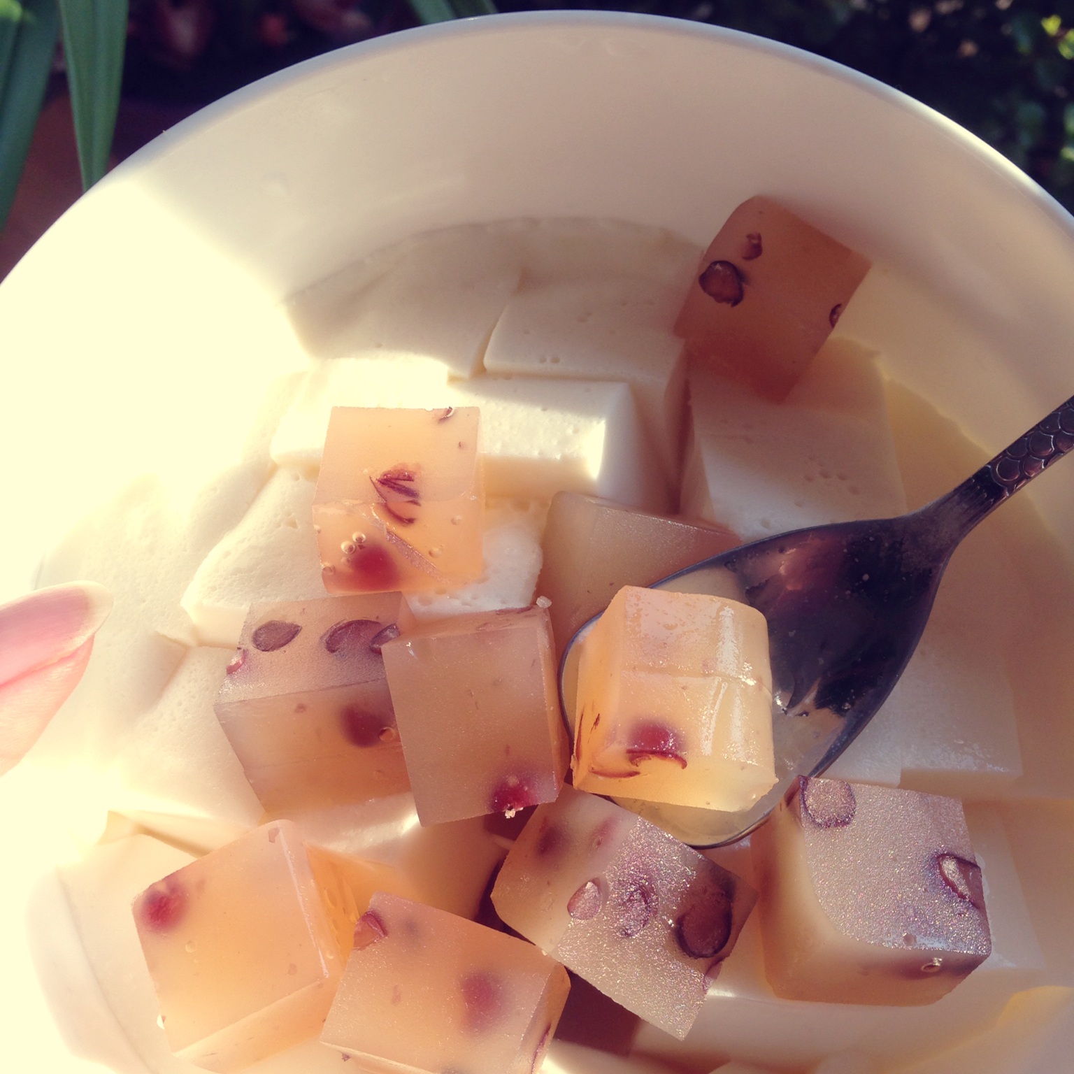 杏仁豆腐