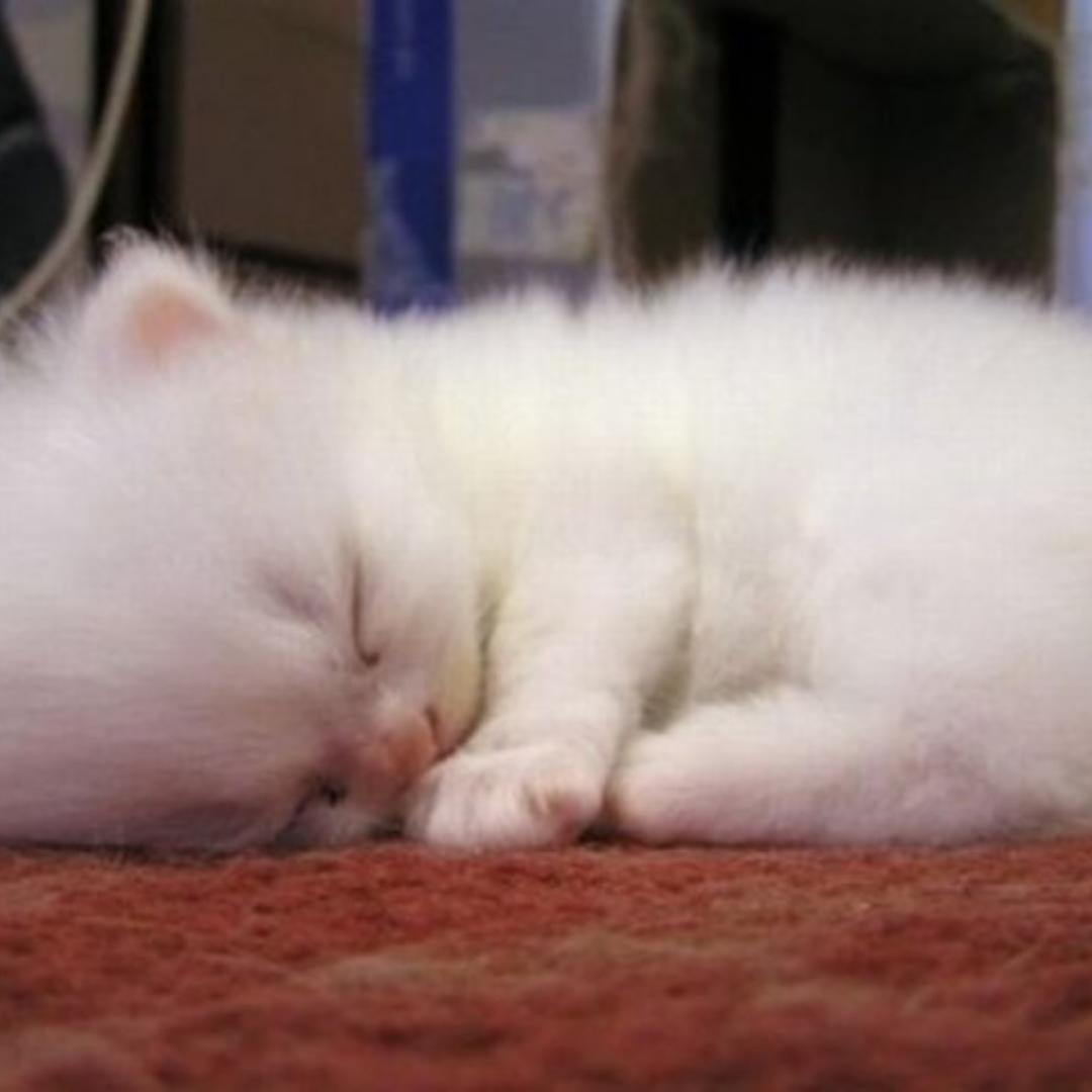 简单生活每一天