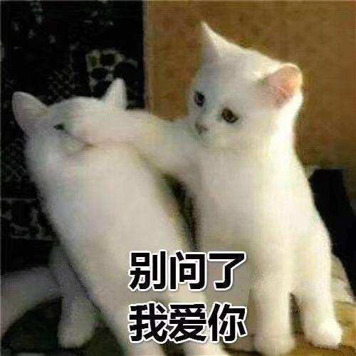 靛紫