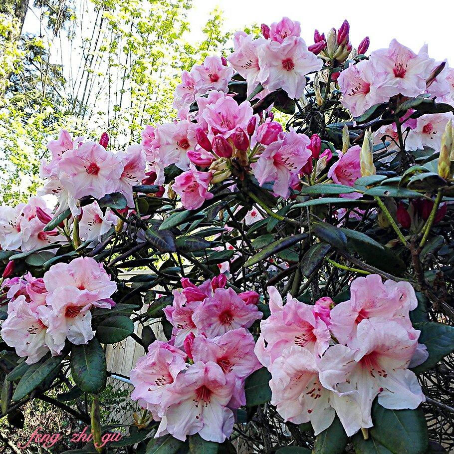 早餐•2017年5月13日