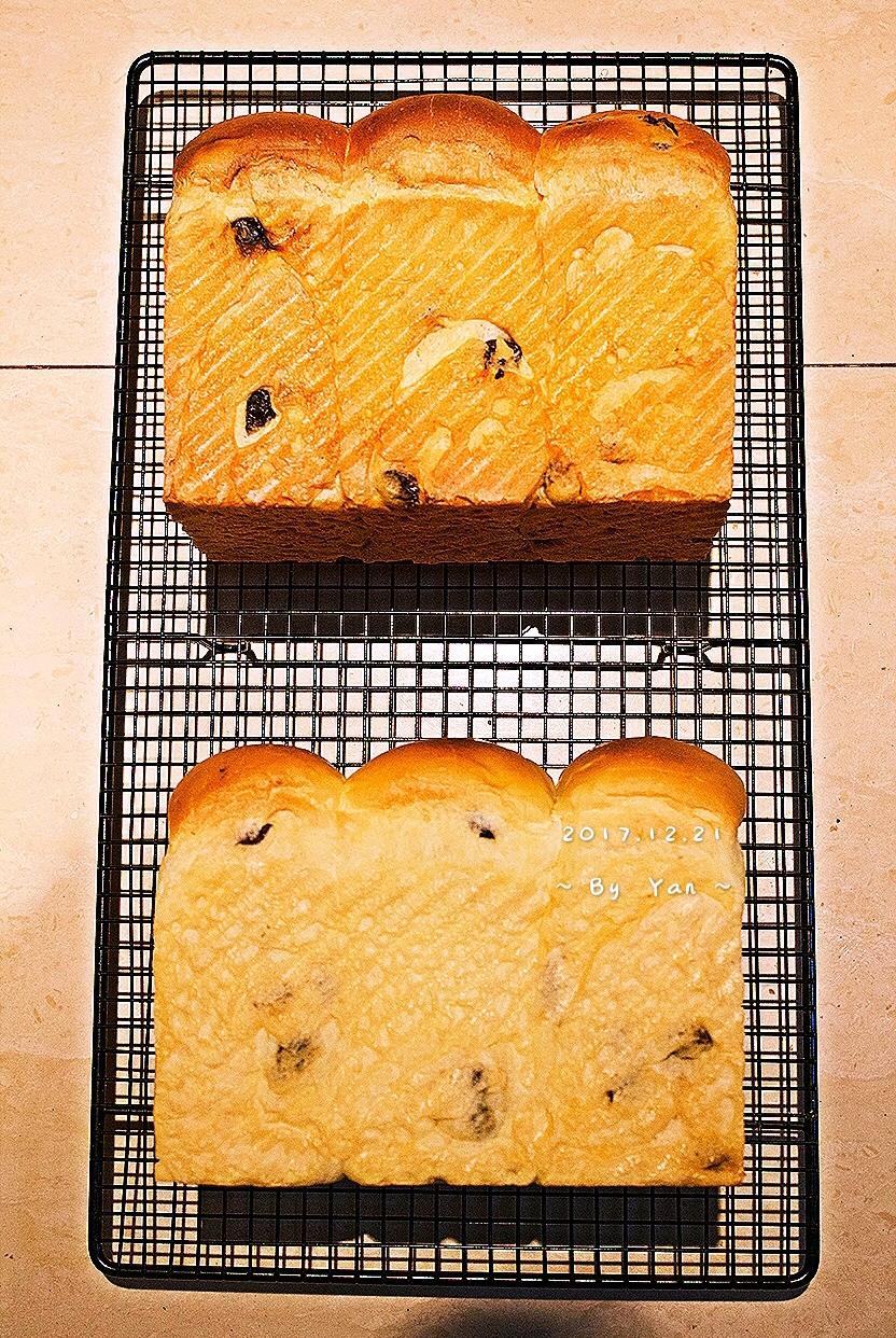 港式吐司～中种