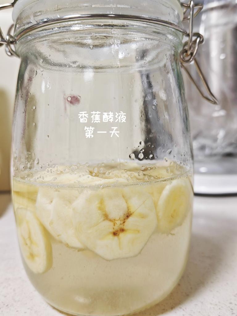 野生酵母--凤梨