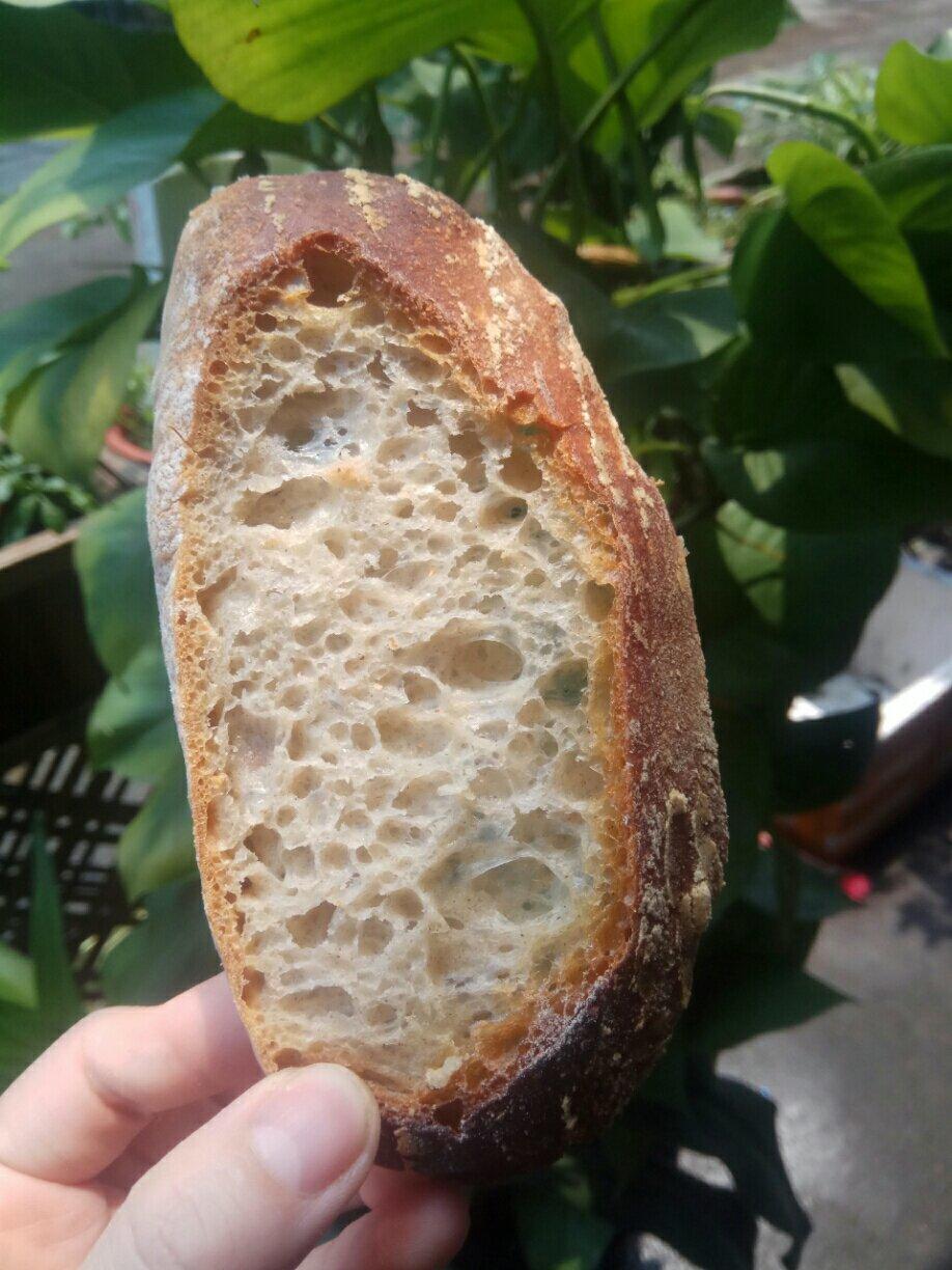 黑麦欧包（小视频）