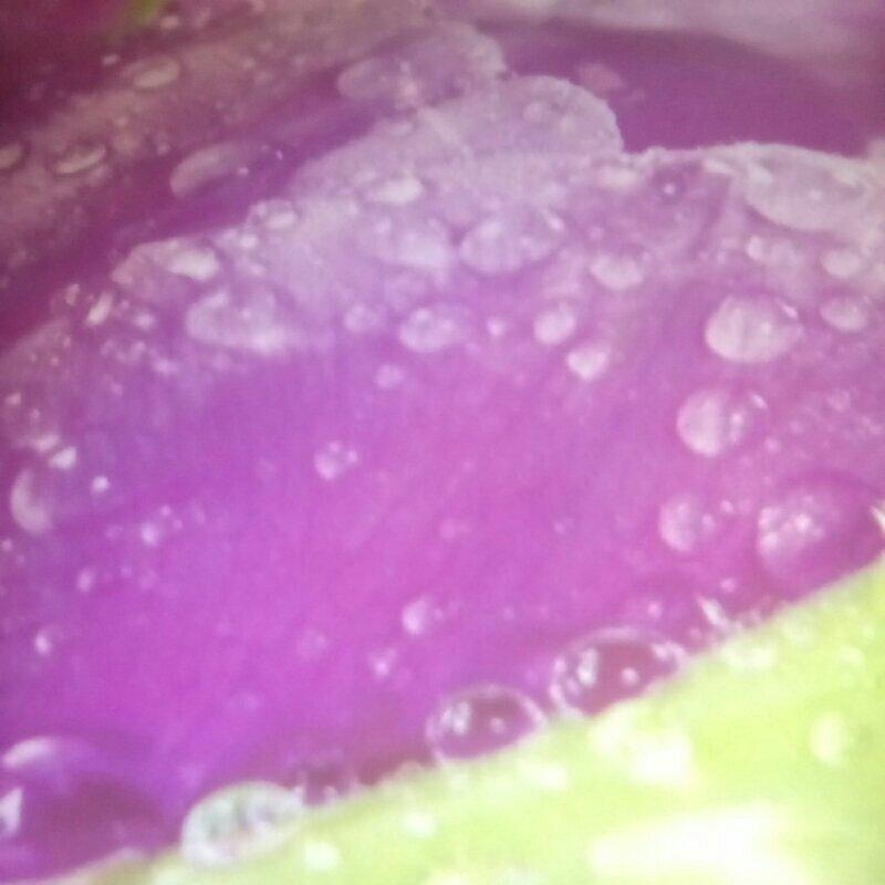 详细步骤制作泡泡浴娃娃蛋糕