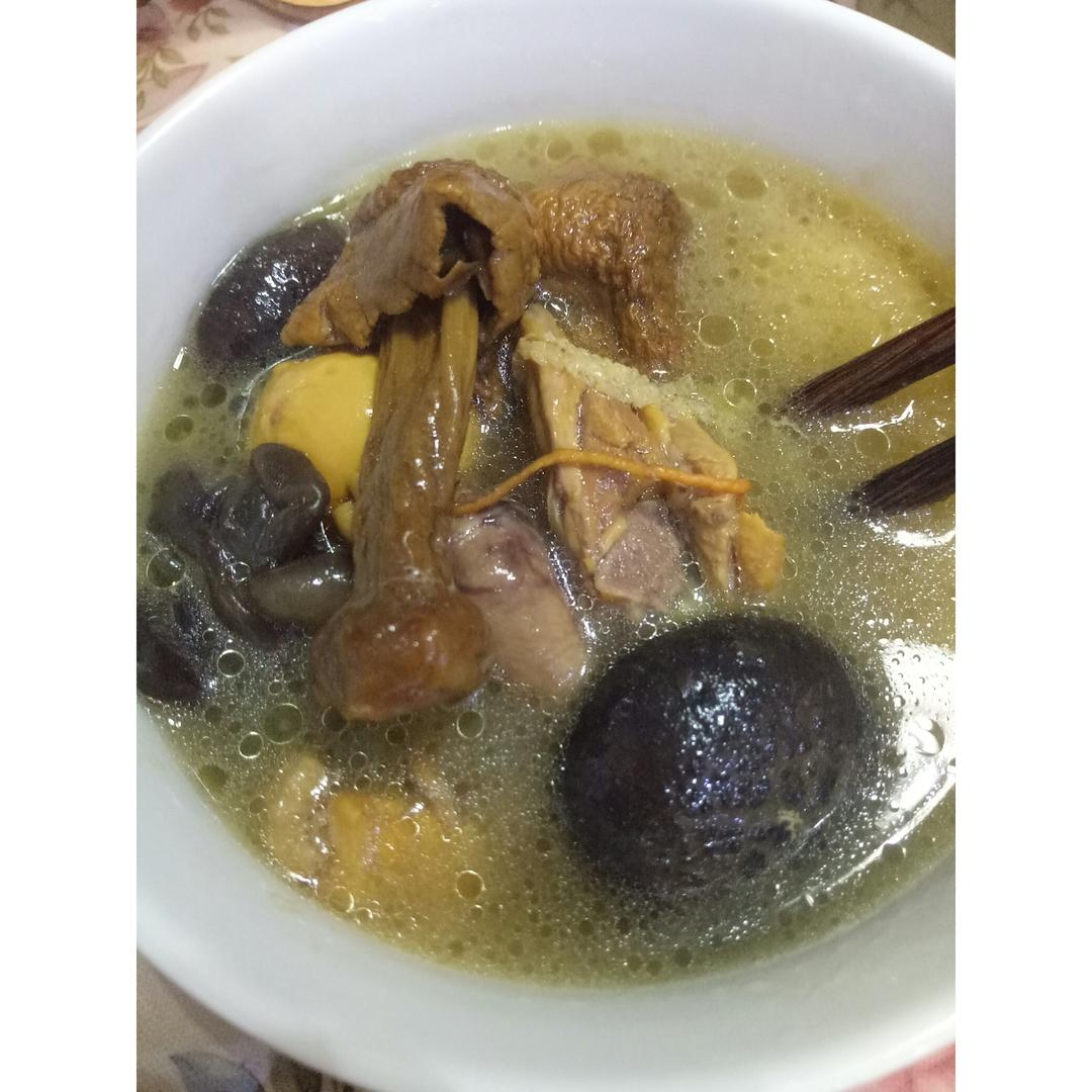 姬松茸竹荪菌菇鸡汤