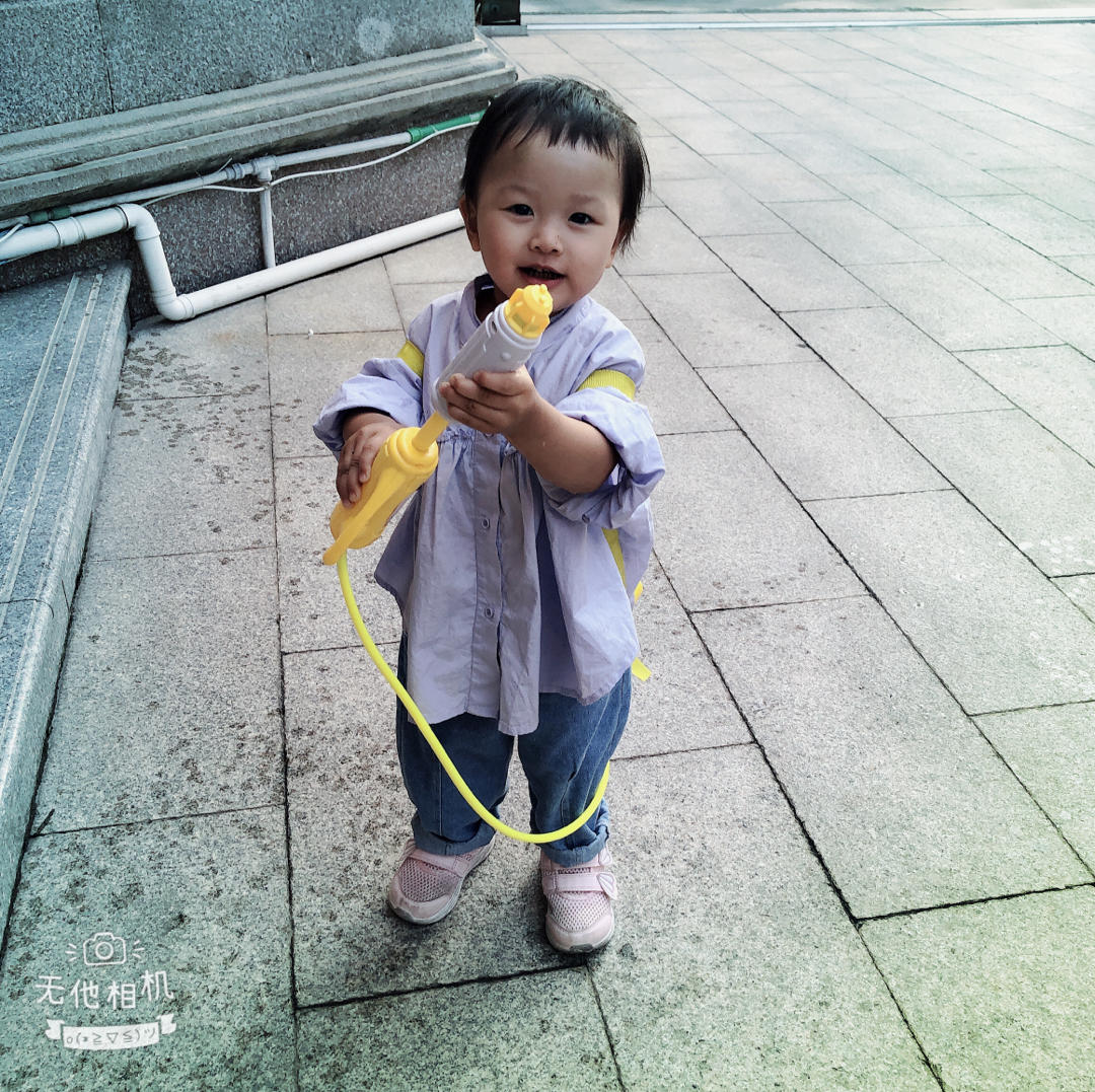 妈妈猪有一窝宝宝猪的厨房