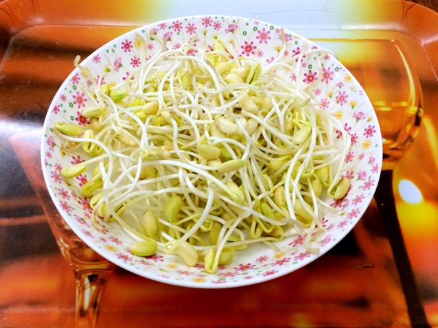自制黄豆芽