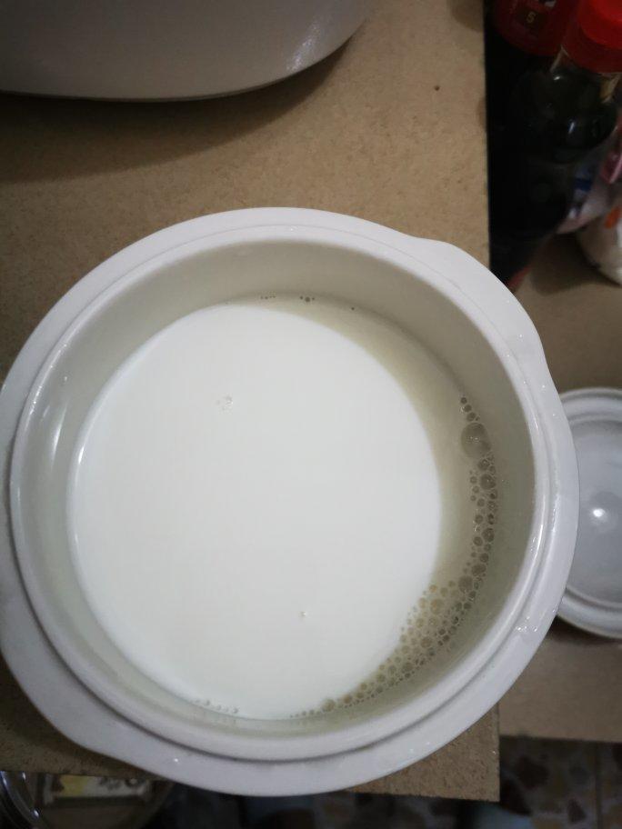 甜品饮料-水果布丁（吉利丁片）
