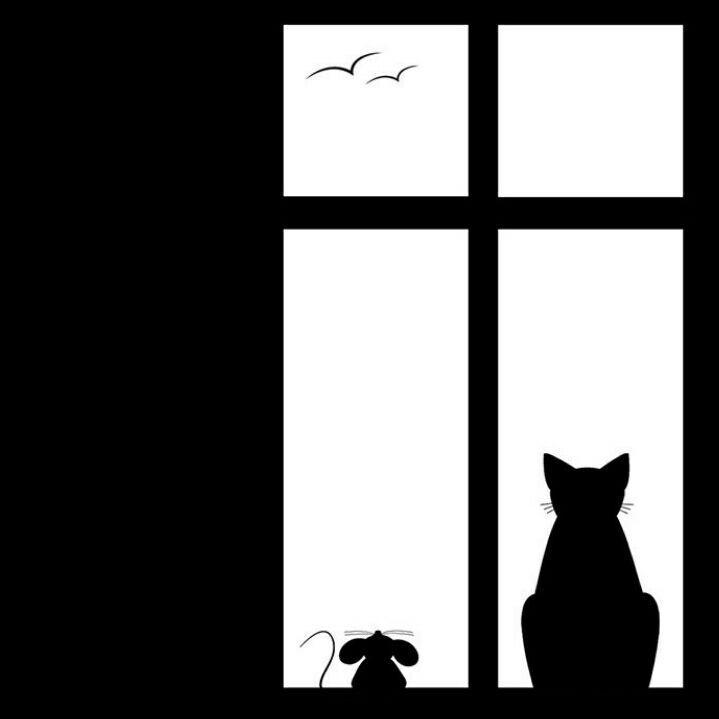 树Shang那只猫