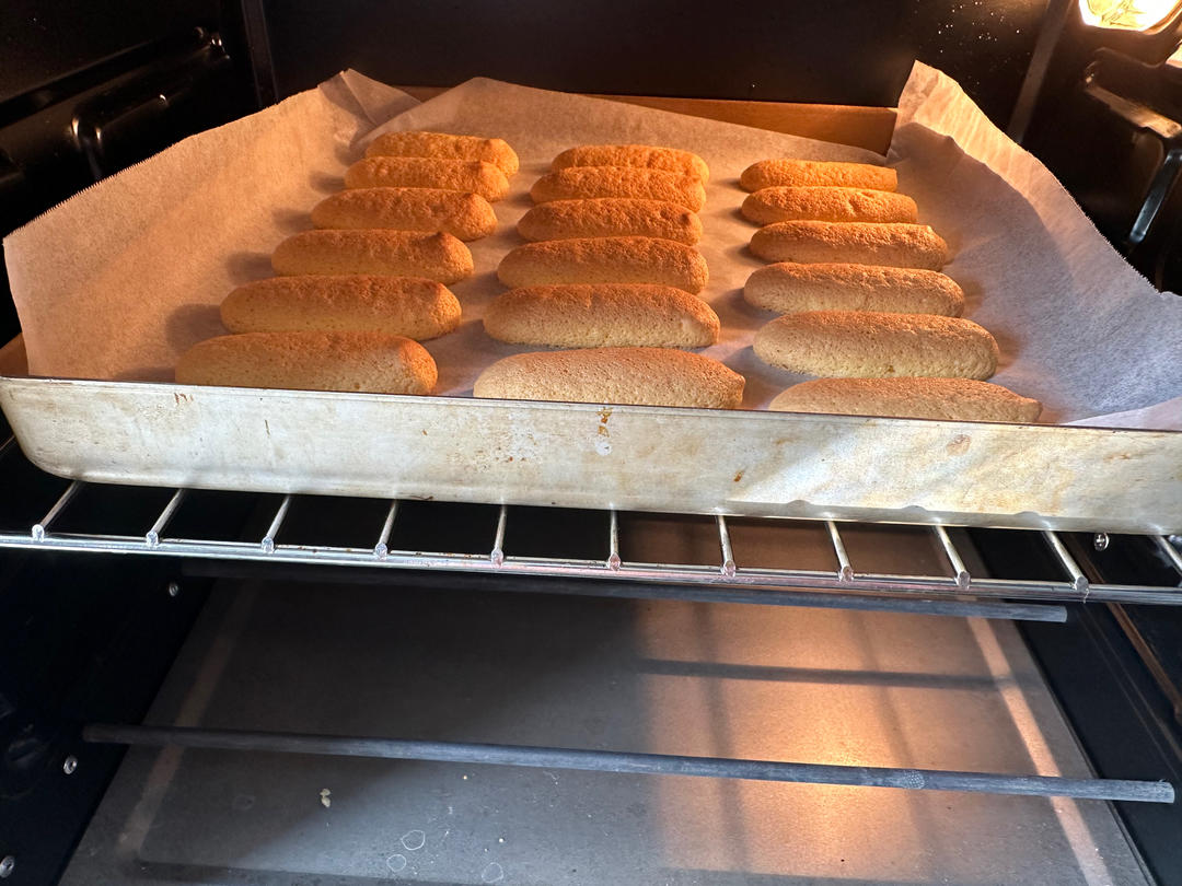 《Tinrry+》提拉米苏