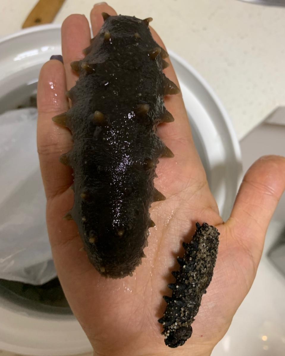 泡发海参的方法