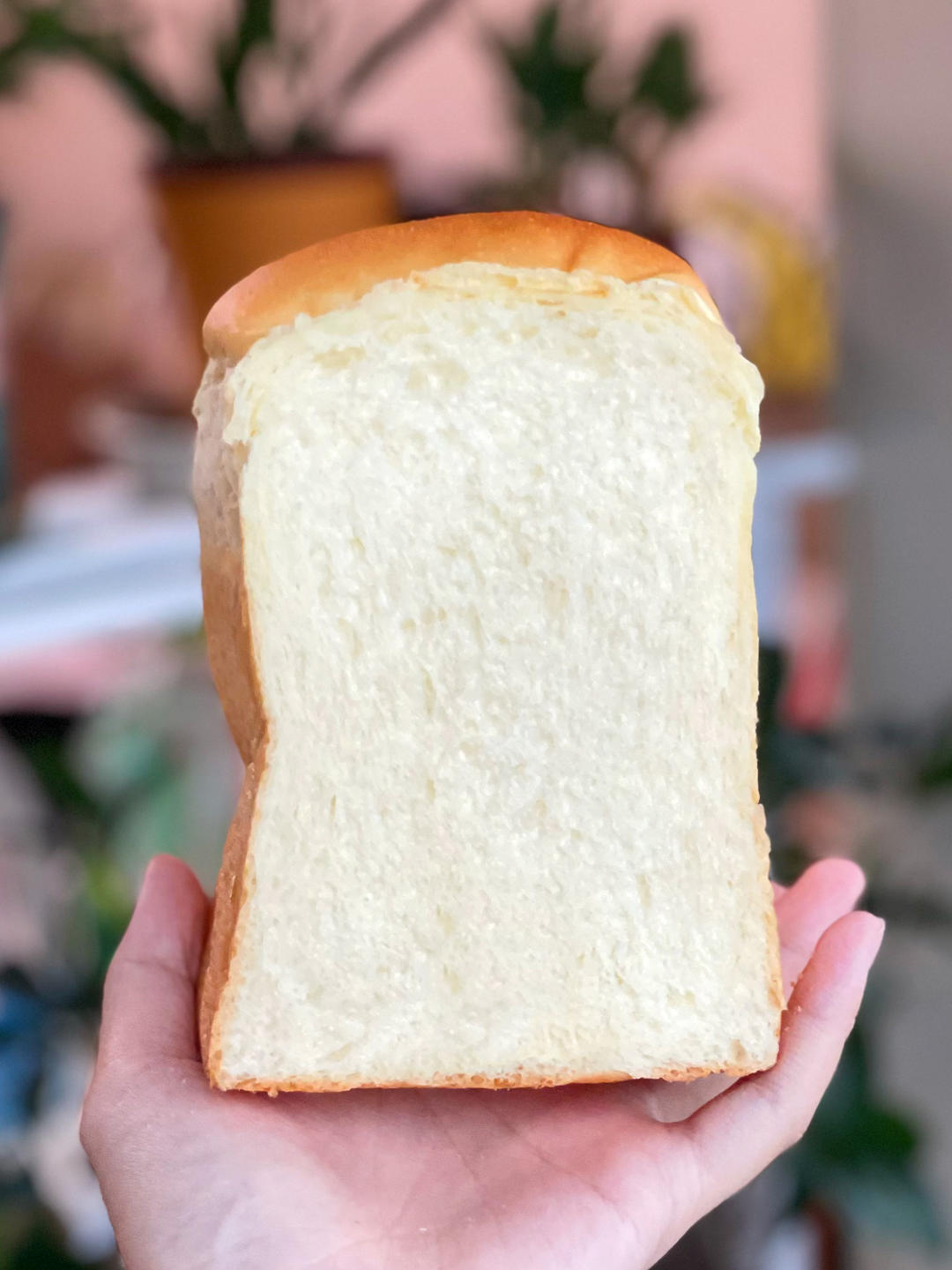 又香又白又温柔--蛋奶吐司