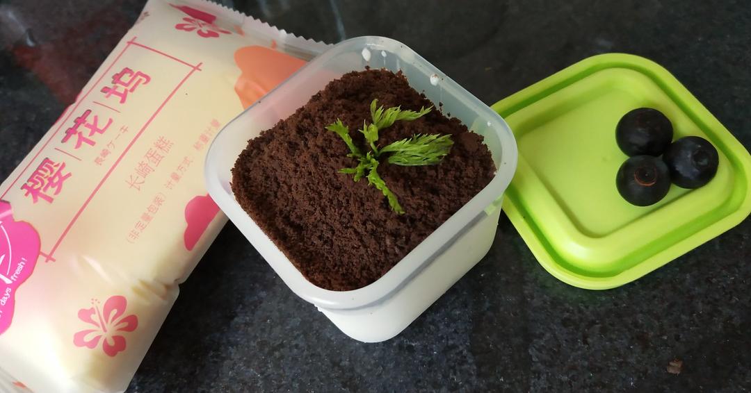 酸奶奥利奥水果盆栽