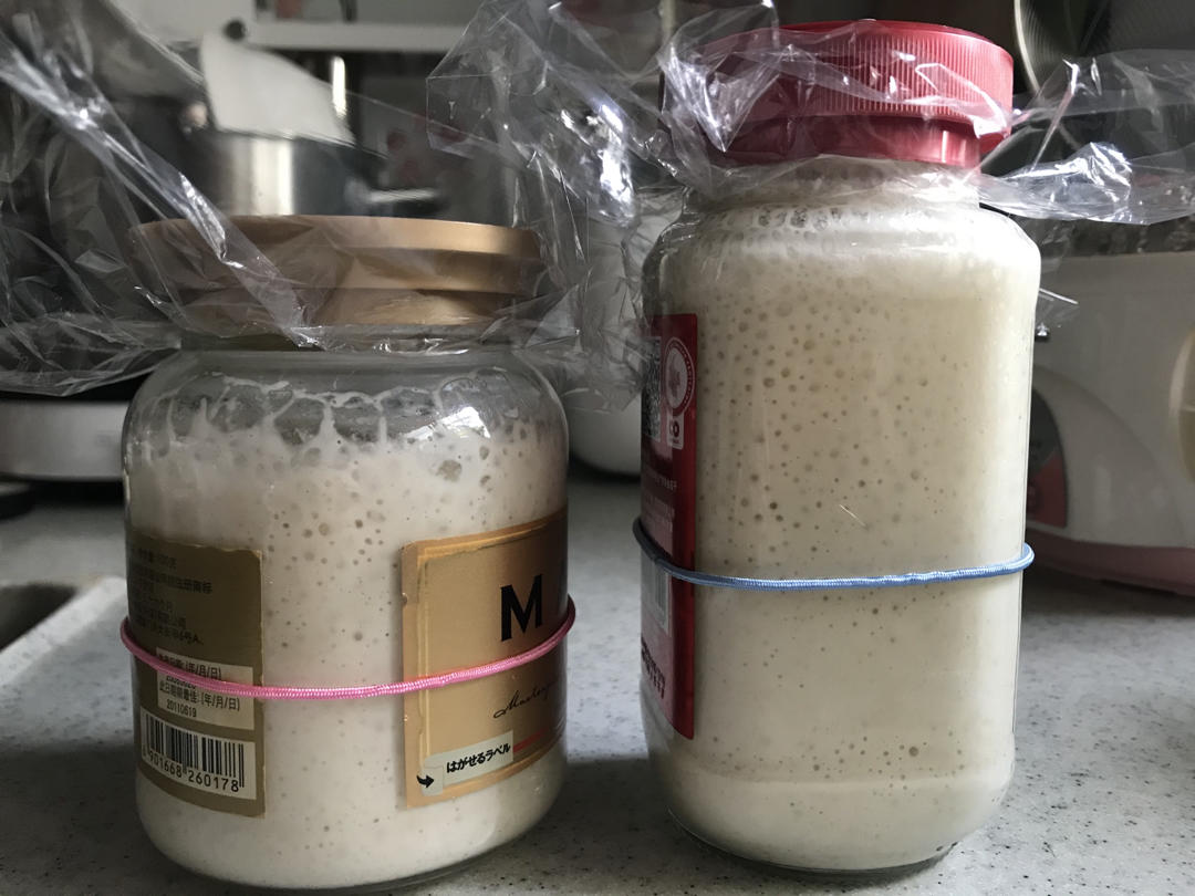 基础欧包 天然酵母的力量